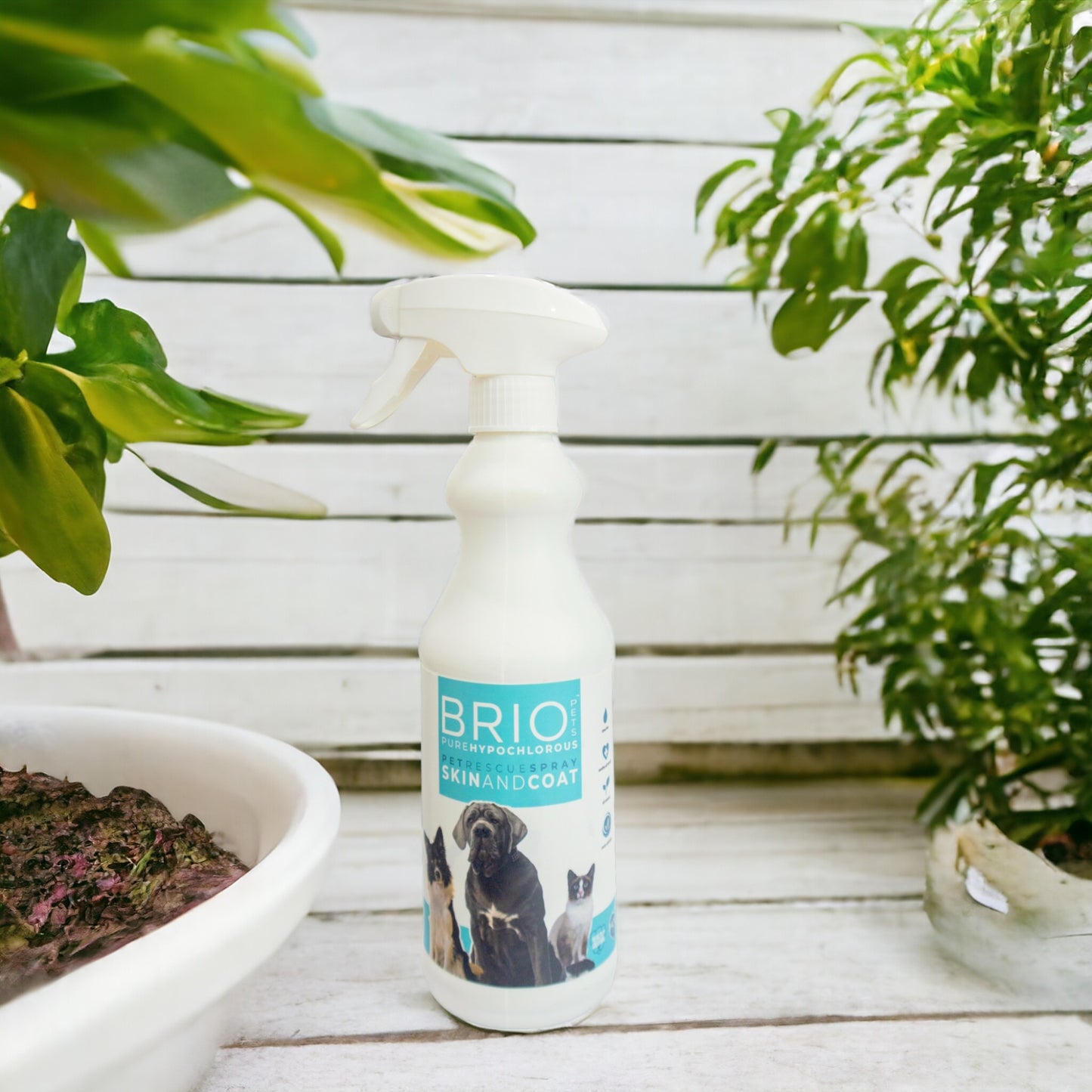 BrioPets - Skin & Coat Spray
