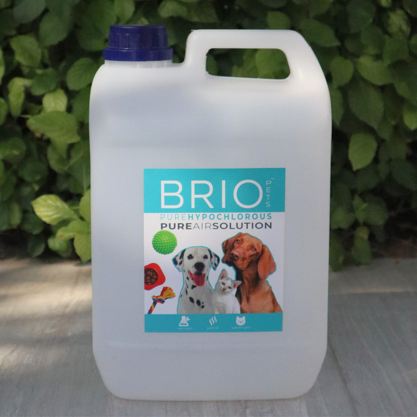 BrioPets - Pure Air Solution
